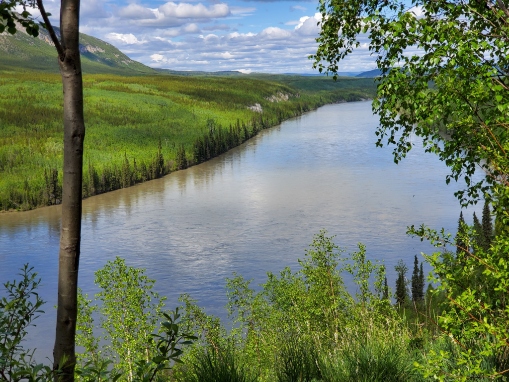 Liard River from Allen's Lookout