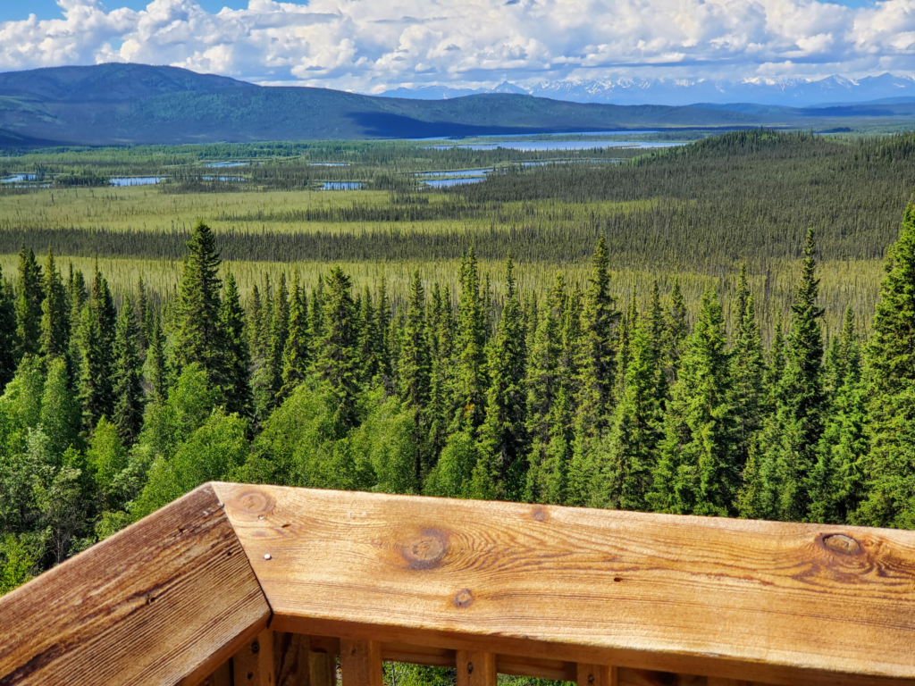 View of the expansive Tetlin Wildlif Refuge