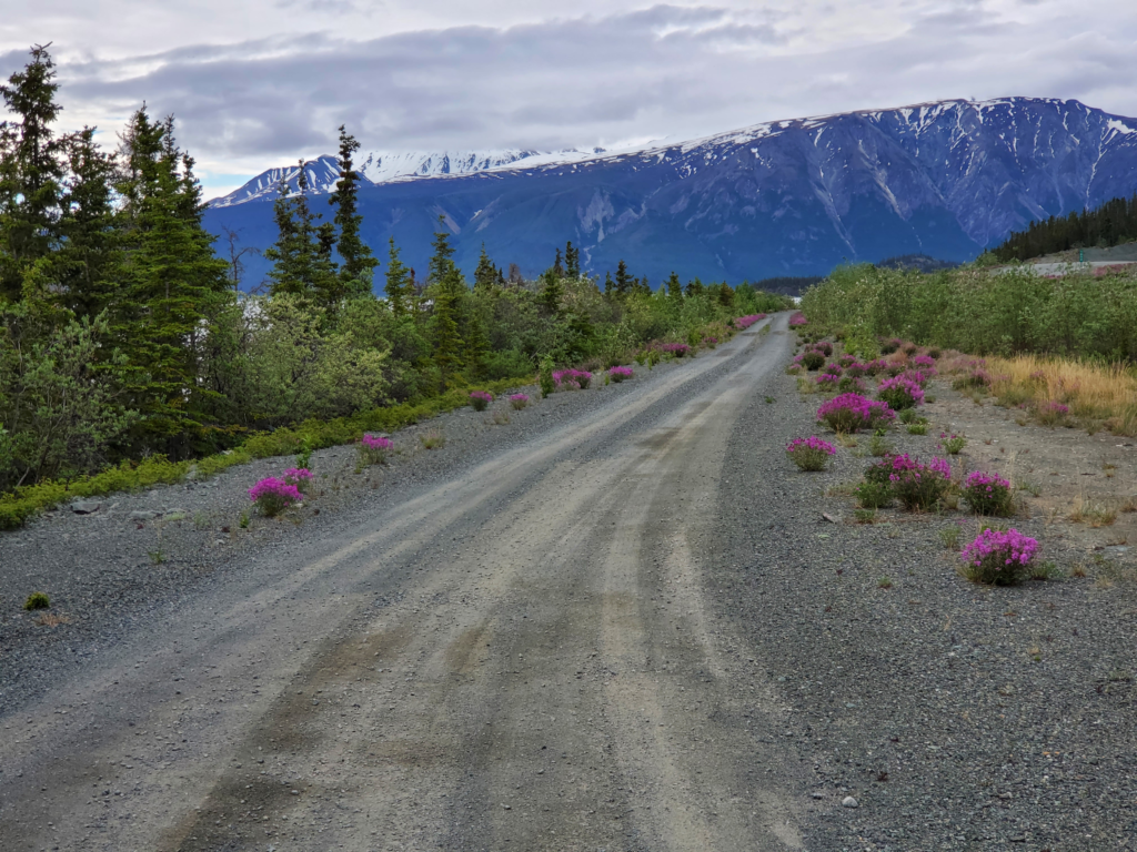 Another old Alaska Highway section