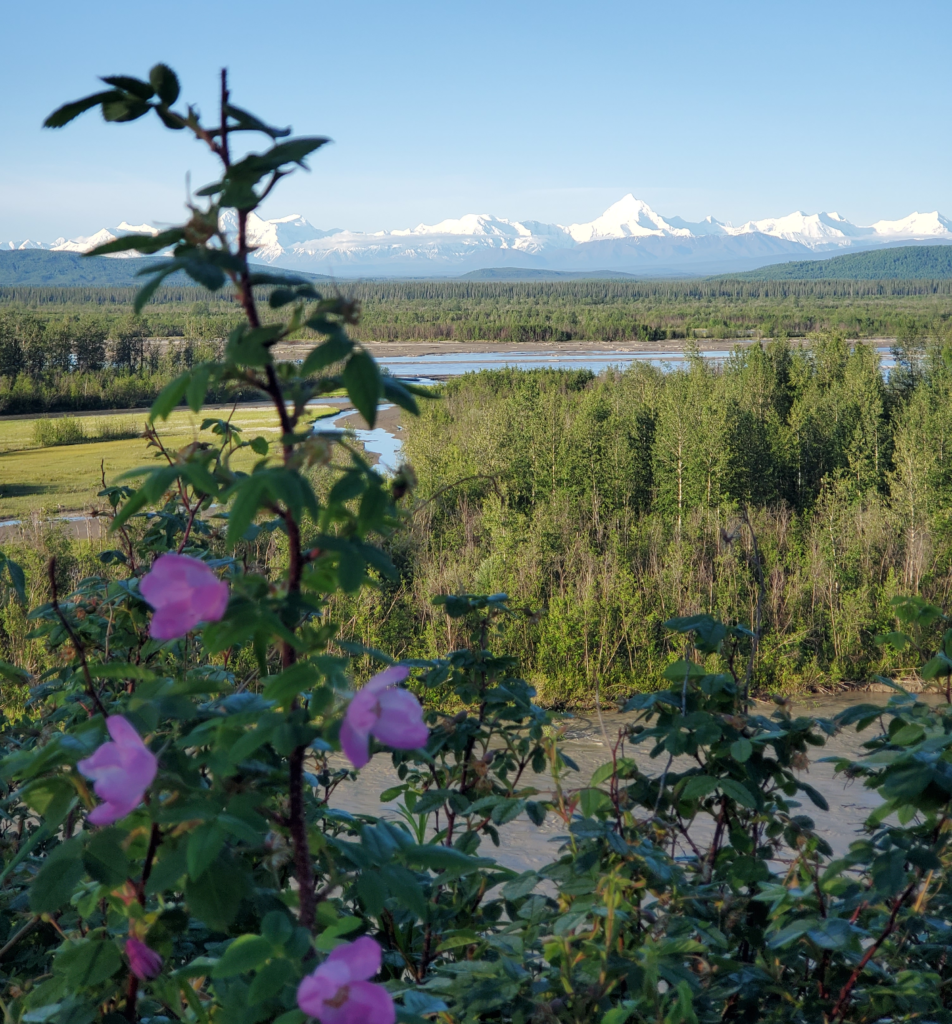 Eastern Alaska Range across the Tanana River