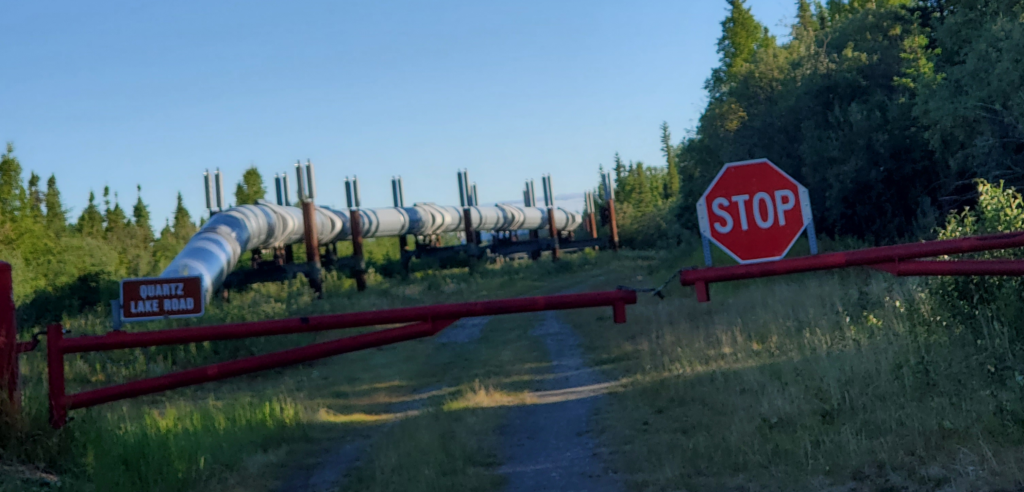 Susan's first view of the Trans Alaska Pipeline
