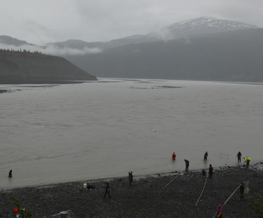 Dipnetting for salmon in the Copper River, Chitina, Alaska