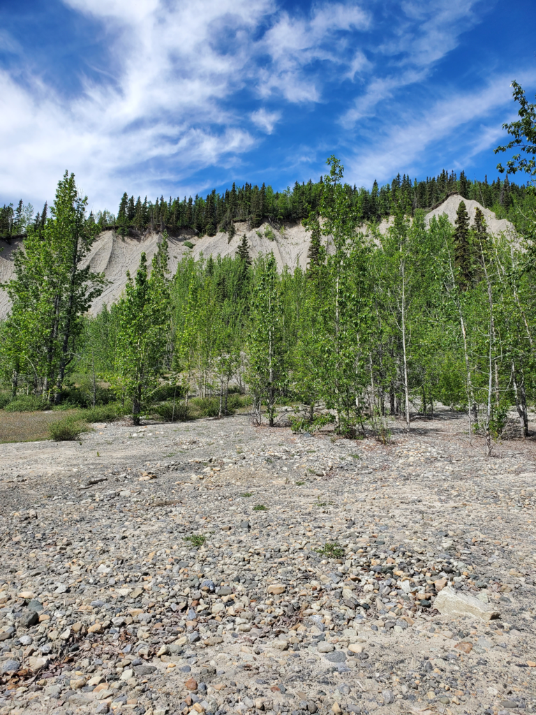 Lateral moraine bluffs left after glacier receded.