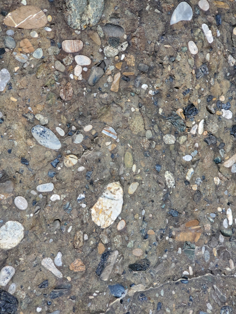 Puddingstone conglomerate closeup.