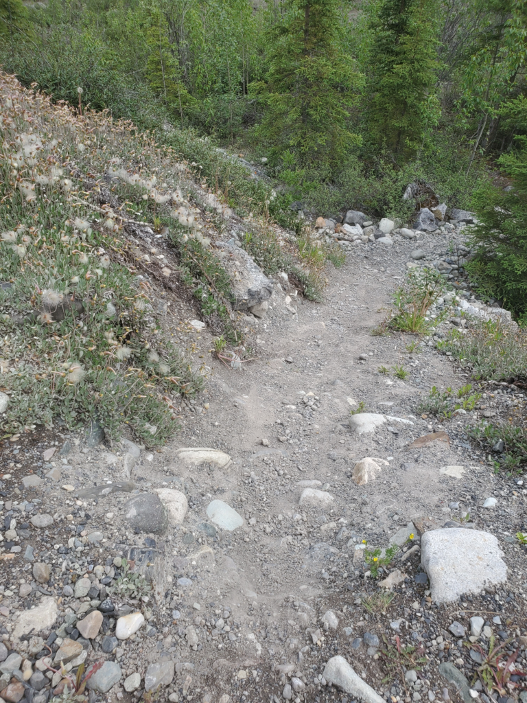 The butt slide. The photo doesn't really shw the steepness until you notice the tall, vertical spruce trees at the bottom.