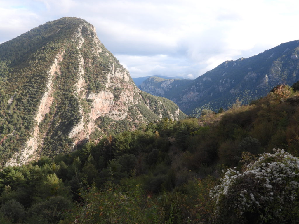 Cerdanya region