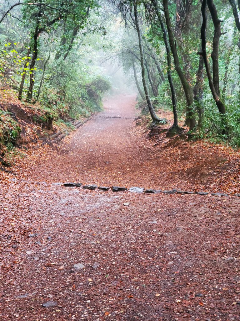 Up to the crater rim