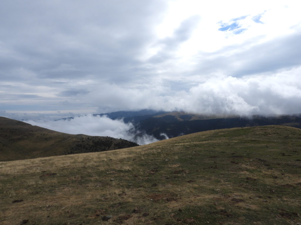 Peekaboo Pyrenees