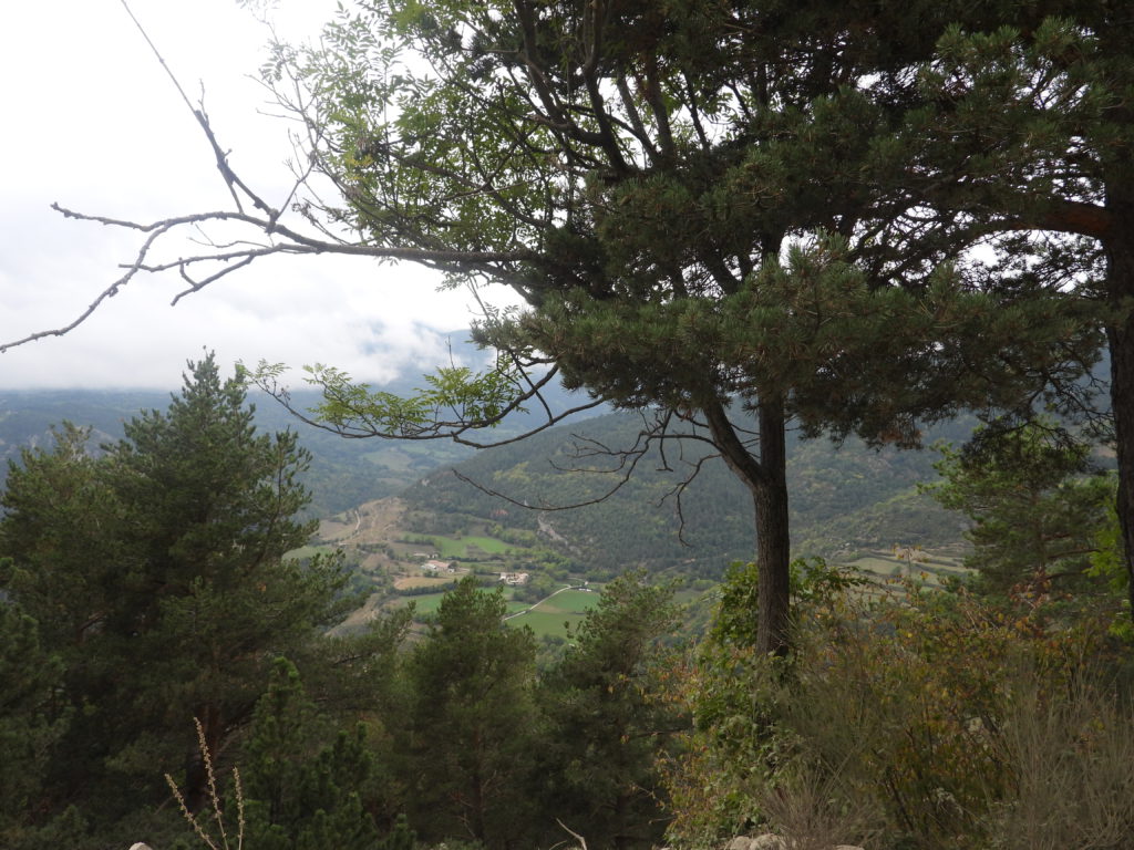 Valley view from picnic area