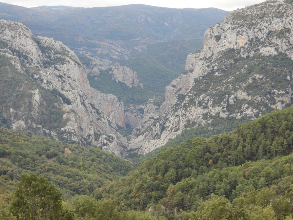 The power of water has cut a deep canyon