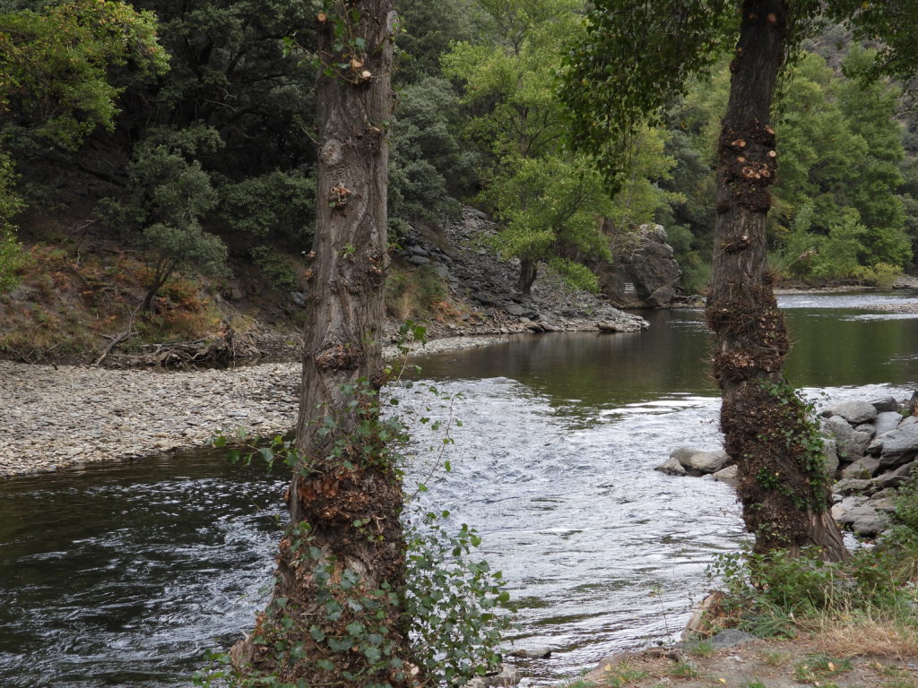 Nogue raPallarasa river in its peaceful phase -- dam gates almostr shut