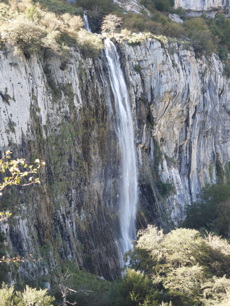 There it is, Vegetation obscures its exit from a cave.