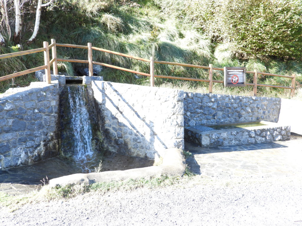 Developed spring. Note the "No dog bathing" sign.