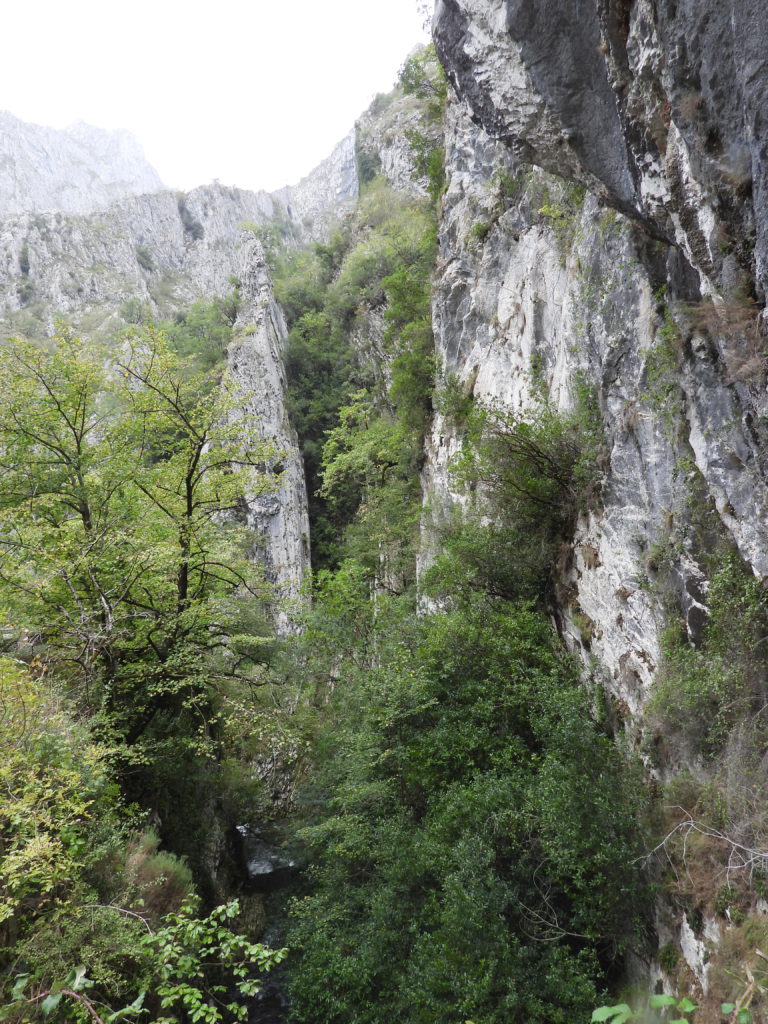 Limestone mountains showing karst features