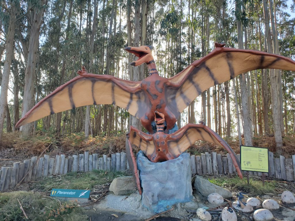 Pteranodon