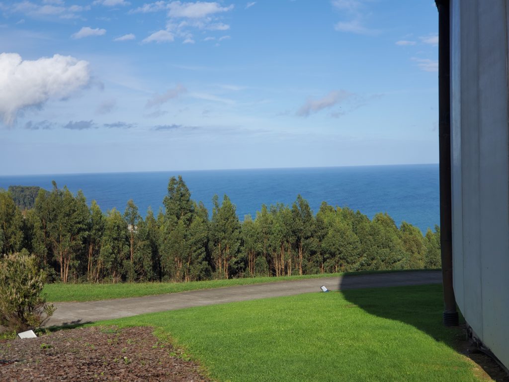 View from Jurassic Museum