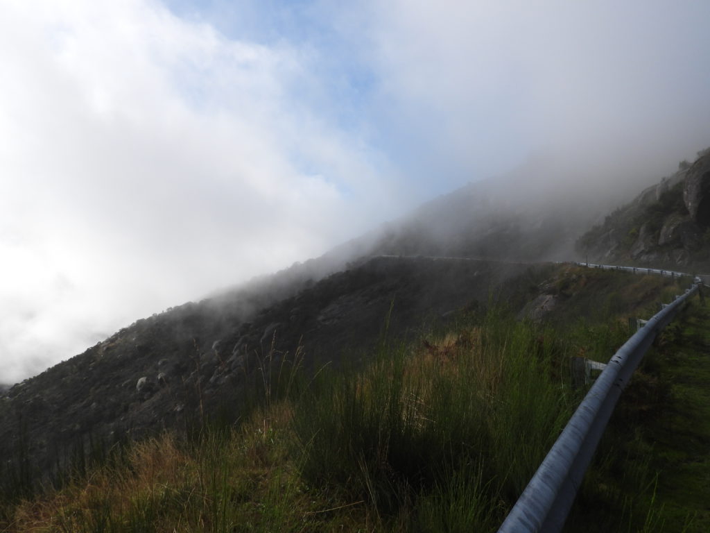 Driving into the clouds