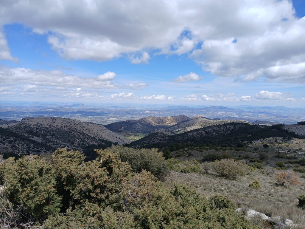 Expansive view from the top