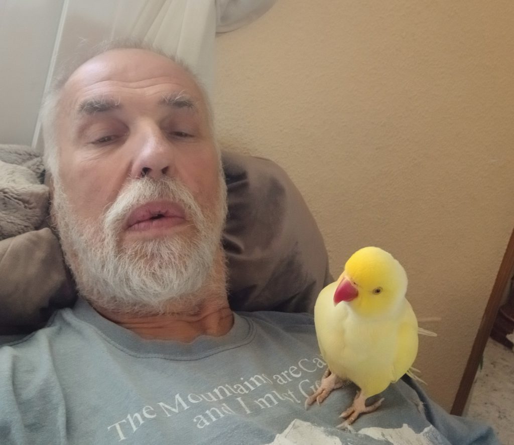 The bird and I