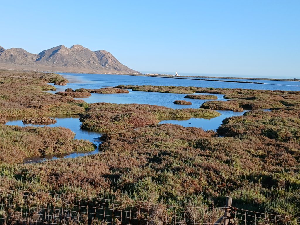 Cabo de Gata bird refuge, formerly salt evaporation ponds