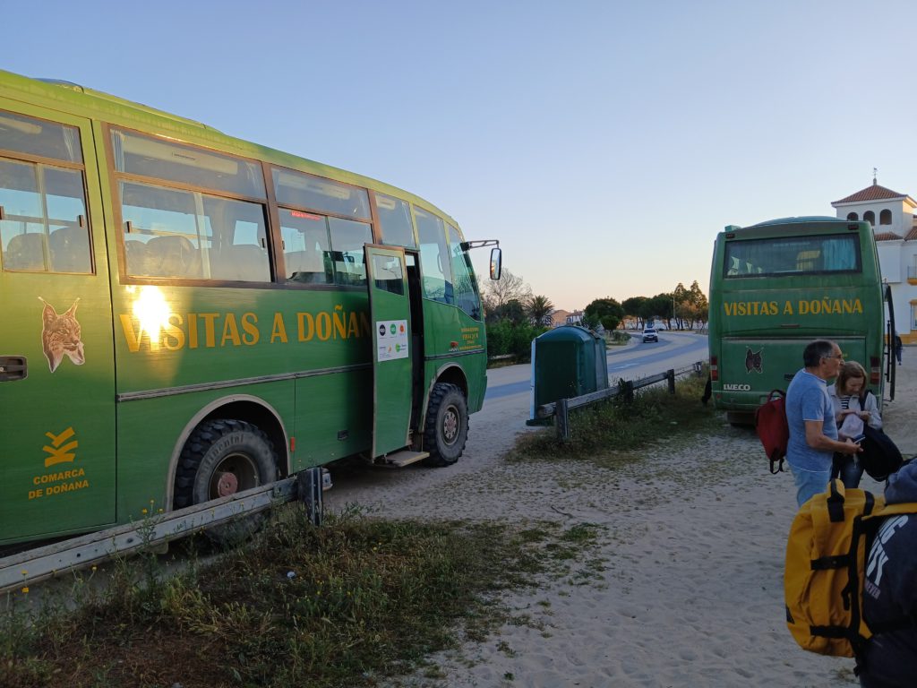 Doñana park tour buses