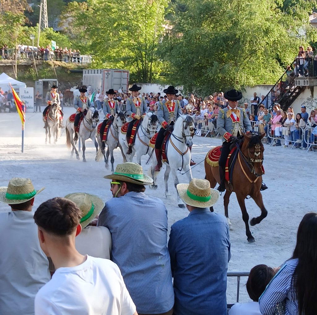 Horse and rider procession