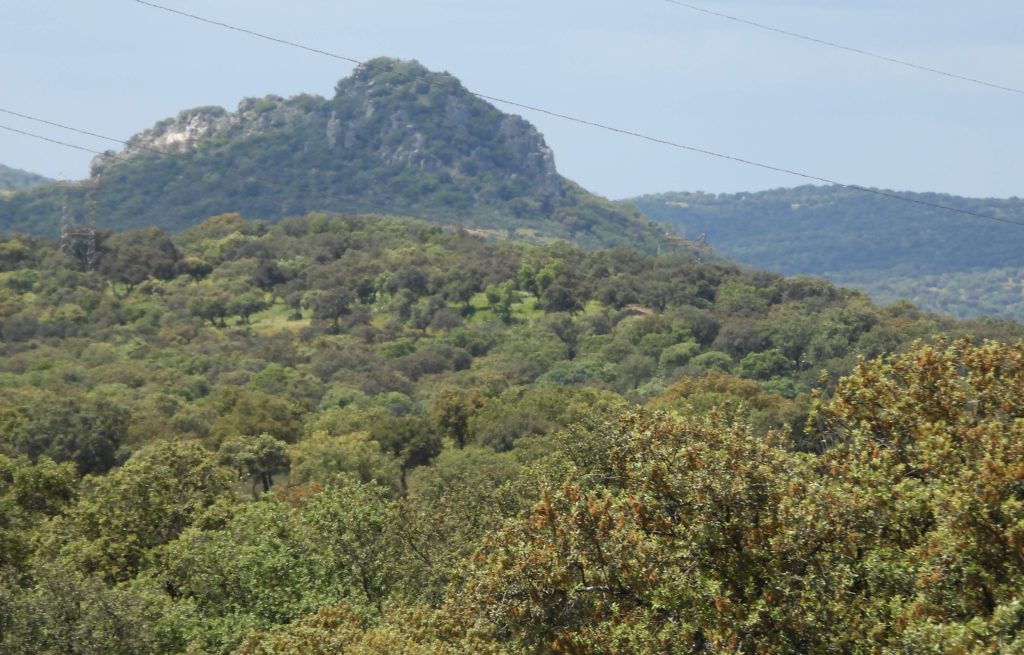 Topography in the Sierra de Andujar