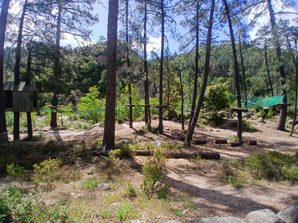 Challenge park with ropes, aerial ladders, and zip lines