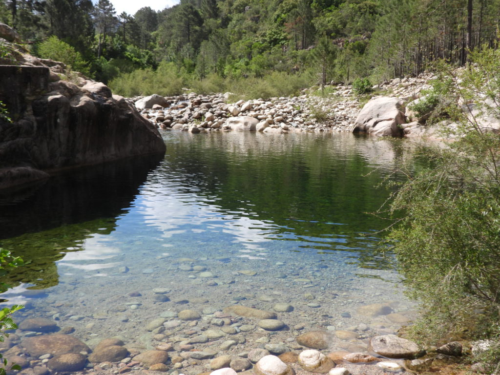The perfect river swimming hole