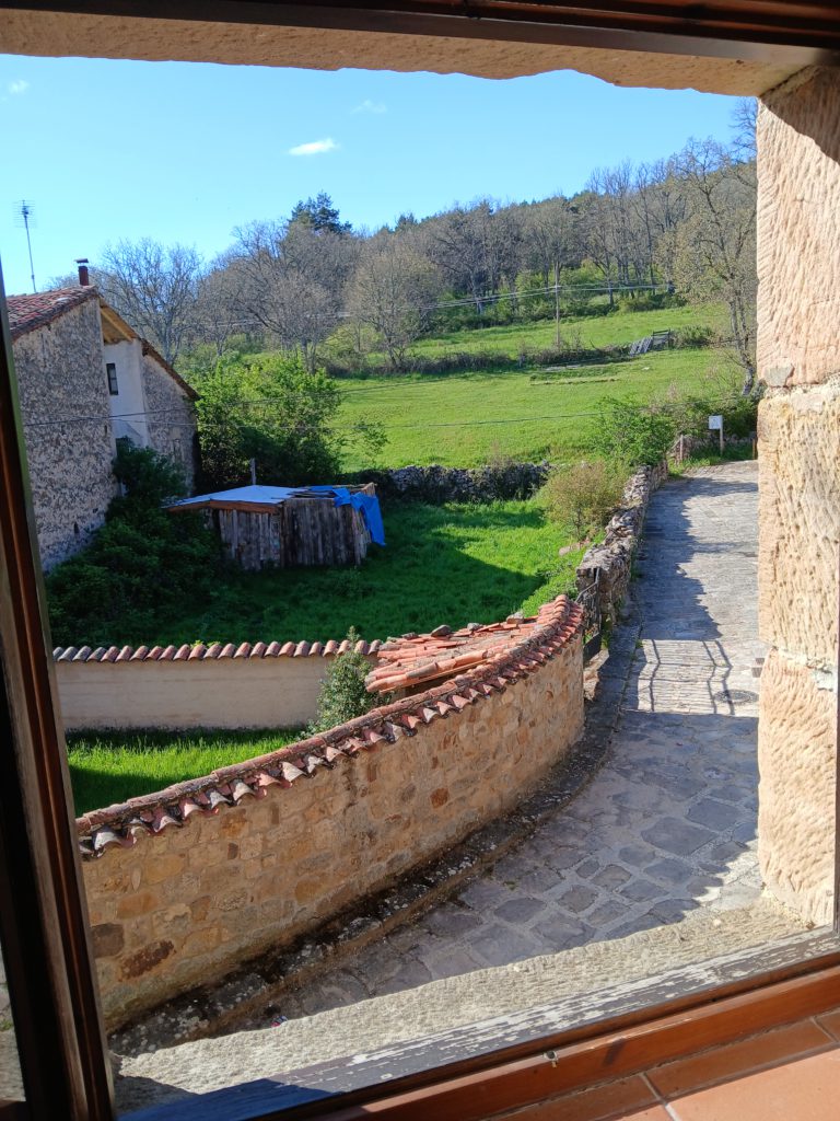 The pastoral view from my room