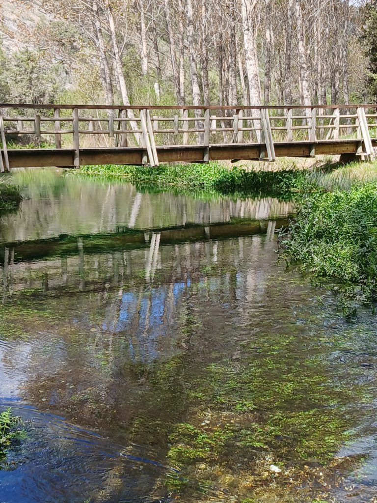 Footbridge along the trail