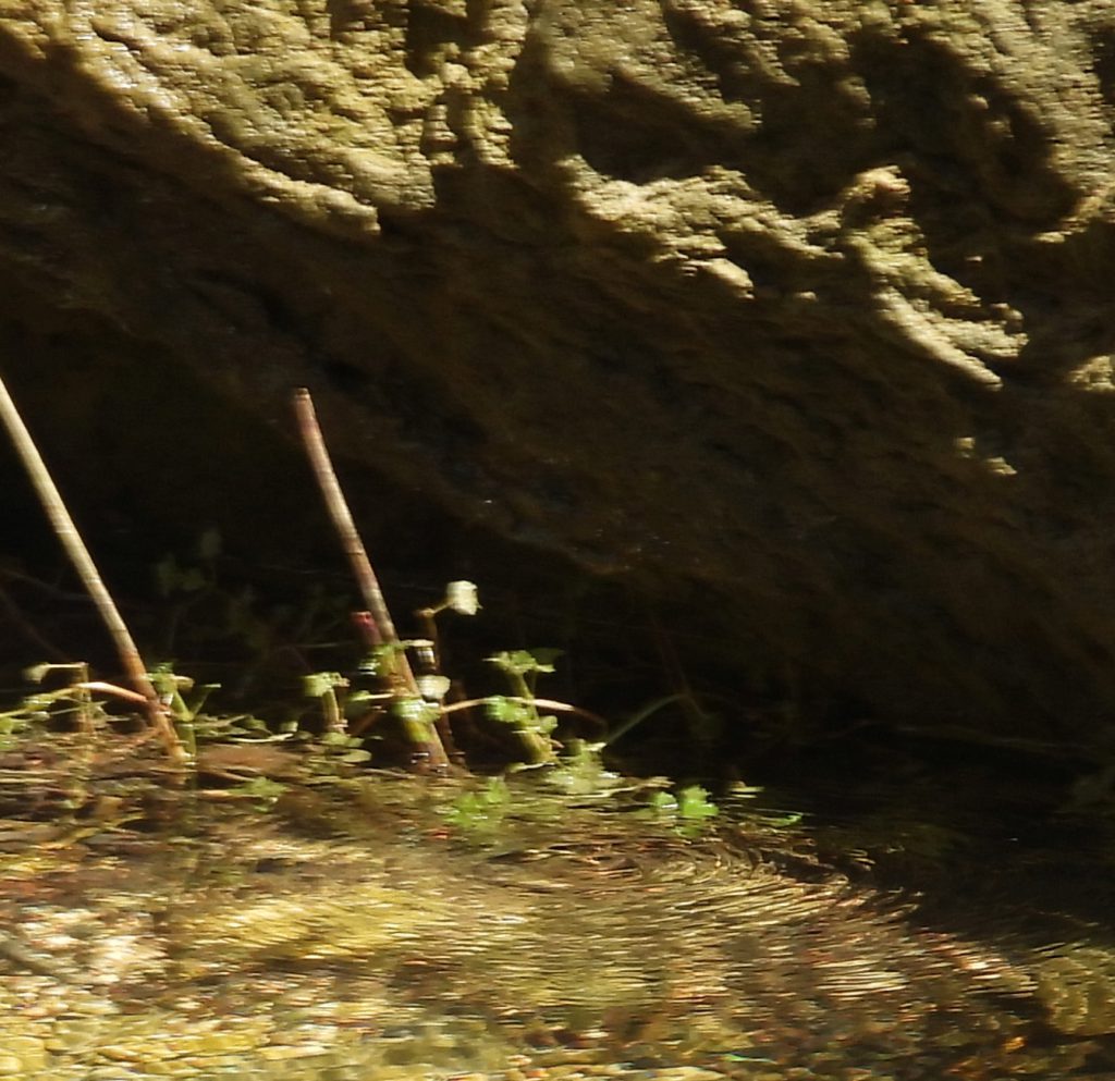 The ripples are the only evidence that individual drops are currently the entire waterfall.