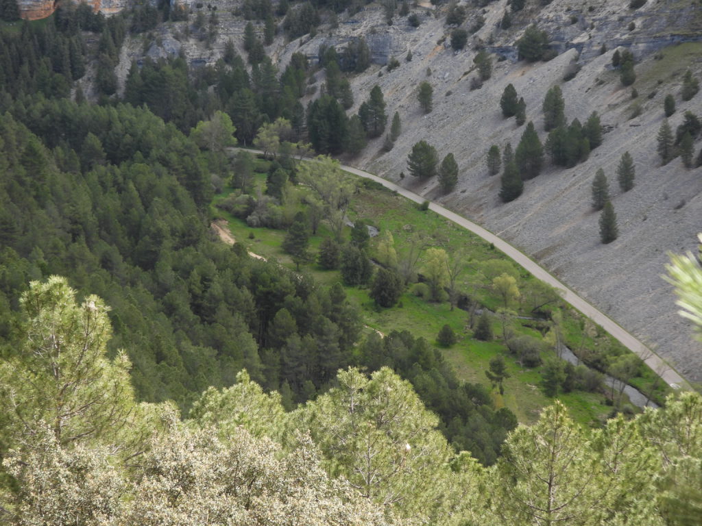 The canyon from the trailside viewpoint