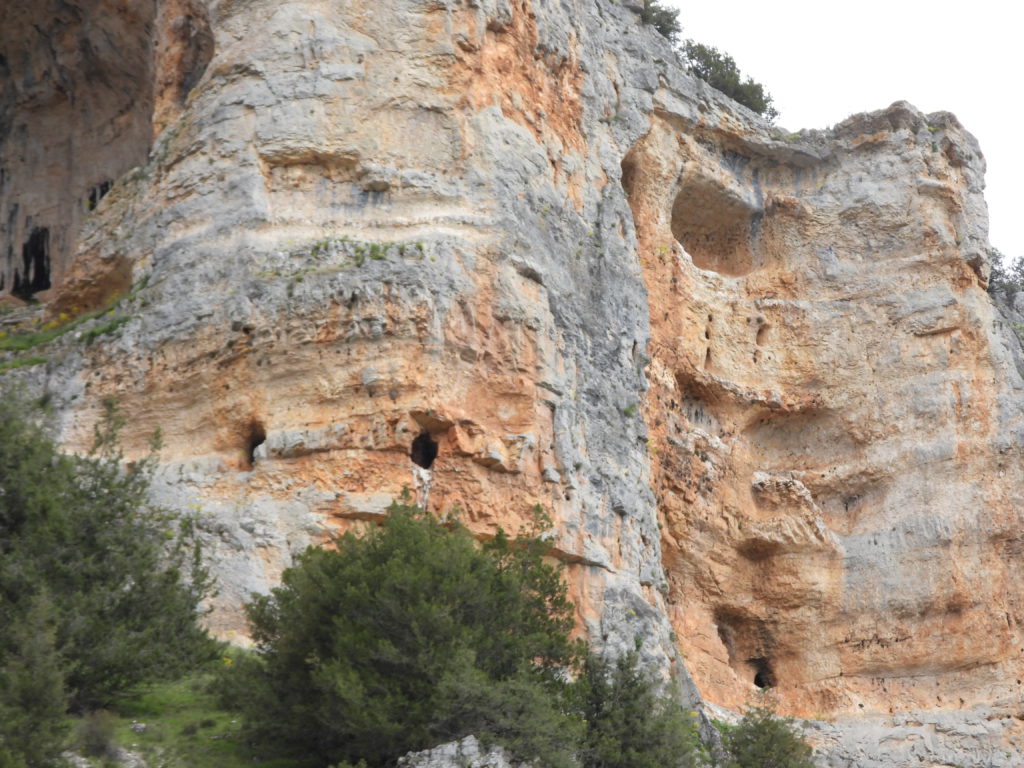 "caves"in the canyon wall