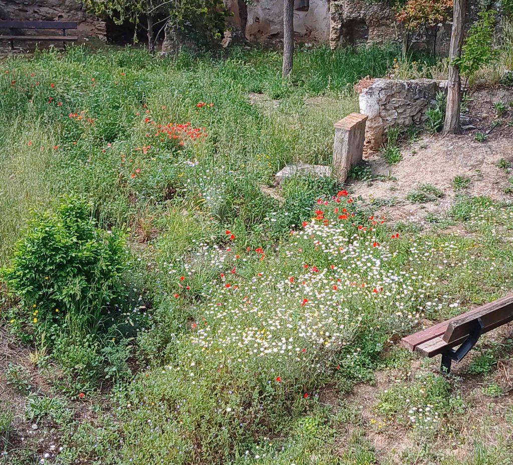 ...more flowers