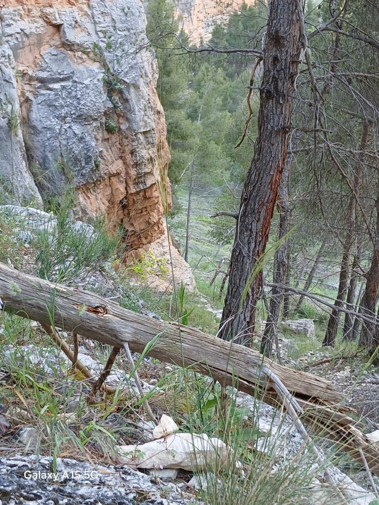 Another difficult portion
