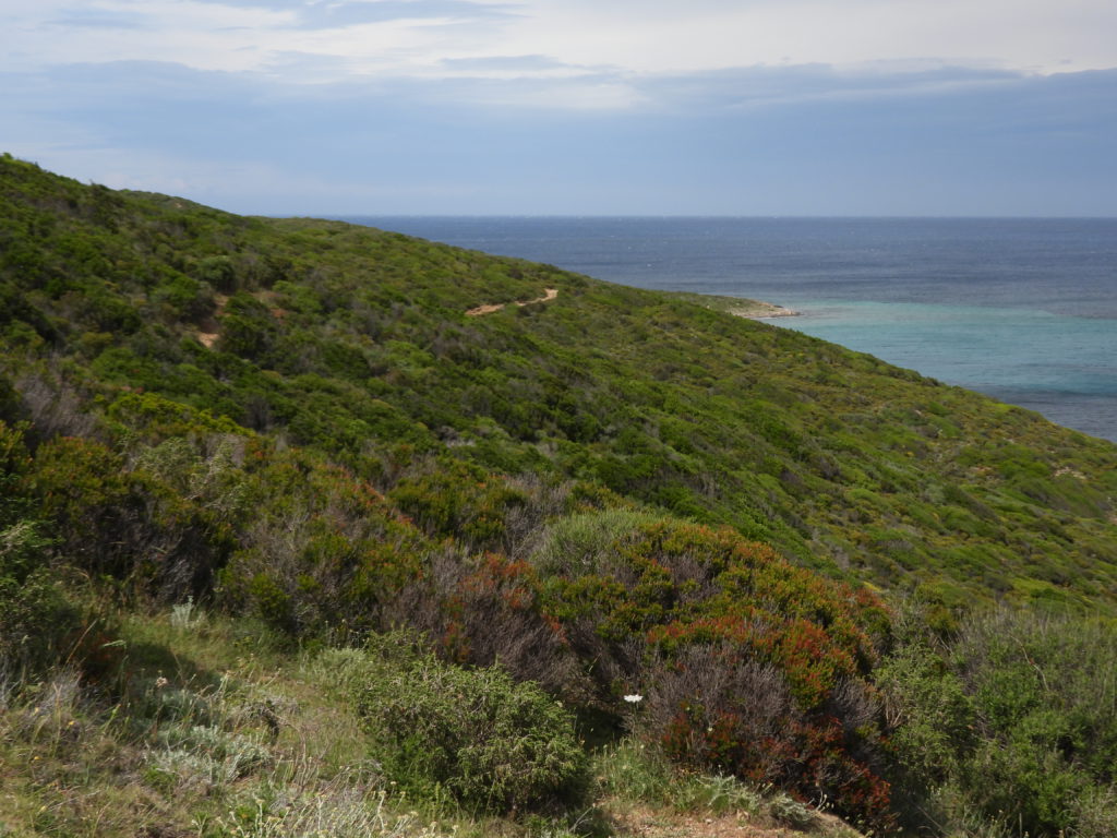 The coastal trail winds for miles between headlands and beaches.