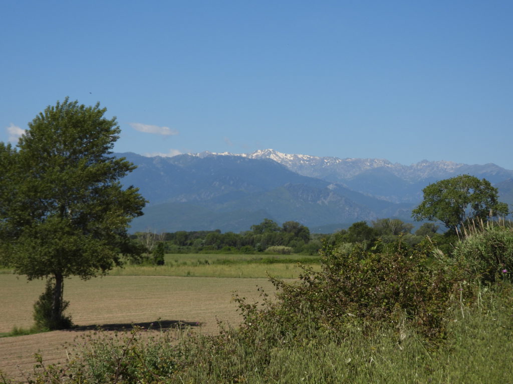Corsica central backbone in the distance...