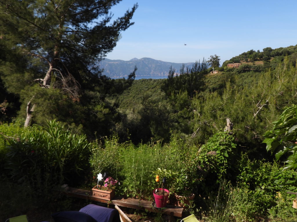 The view from MaryLou's Curzu home.